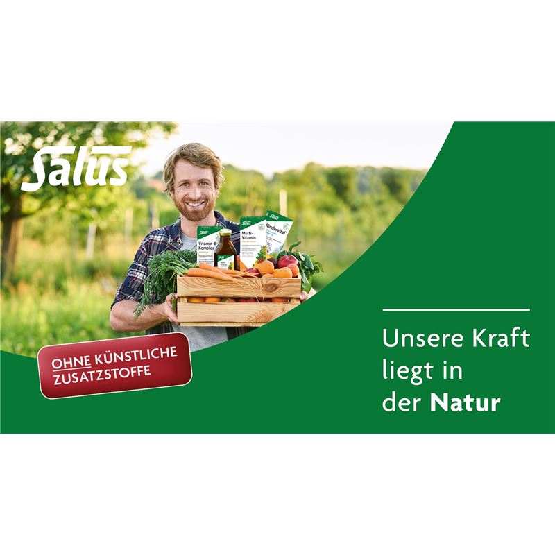 SALUS Artischocken Bitter Fl 250 ml
