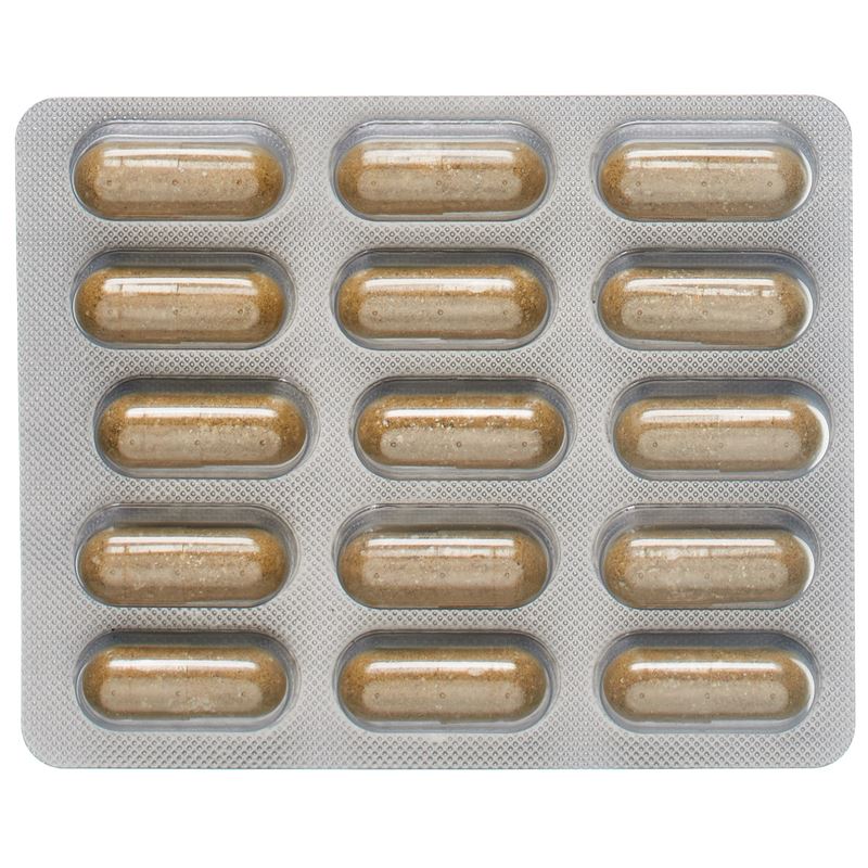 EPIMETHYLOSAN Kaps 60 Stk