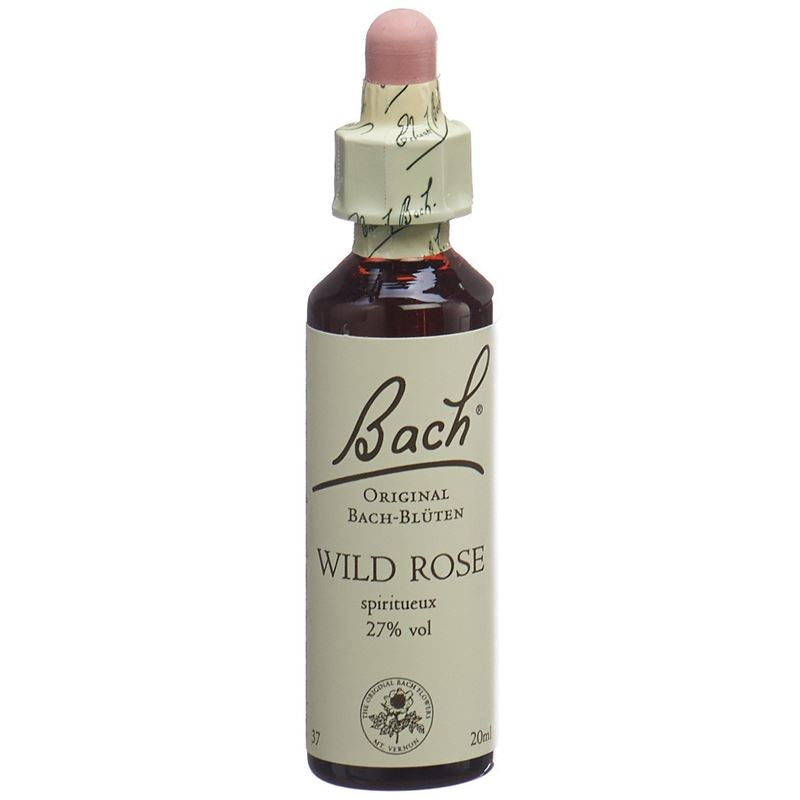 BACH-BLÜTEN Original Wild Rose No37 20 ml