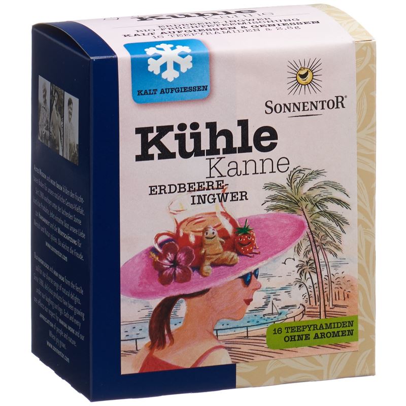 SONNENTOR Kühle Kanne Teepyr Erdb-Ingwer 16 Stk